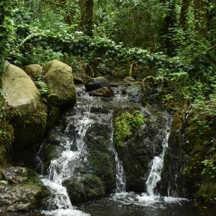 Àrea Ecologia Funcional