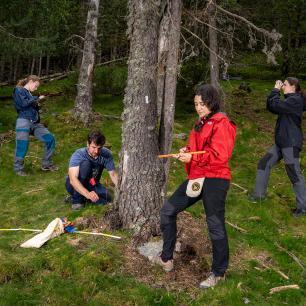Equip de recerca a camp Equip de recerca a camp